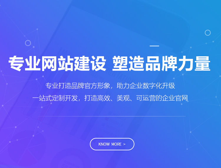 锡林郭勒盟建站-专业网站建设 塑造品牌力量